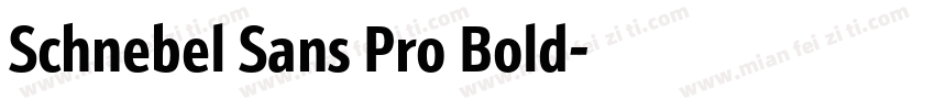 Schnebel Sans Pro Bold字体转换